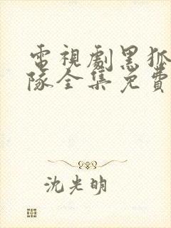 电视剧黑狐突击队全集免费观看封面