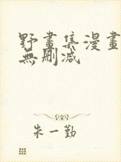 野画集漫画免费无删减封面