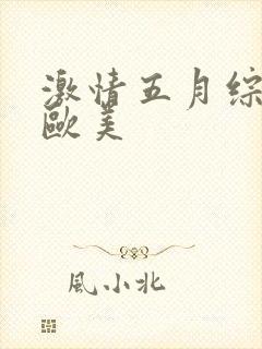 激情五月综合网欧美