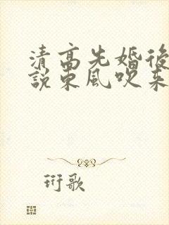 清高先婚后爱小说东风吹来