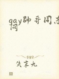 gay帅哥同志网封面