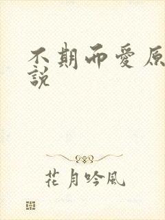 不期而爱原著小说