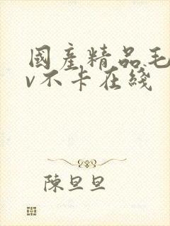 国产精品毛片av不卡在线