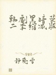 韩剧黑暗荣耀第二季缩减版