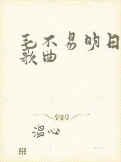 毛不易明日之子歌曲封面