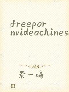 freepornvideochinesesex封面