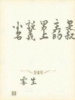 小说男主是女主名义上的叔叔