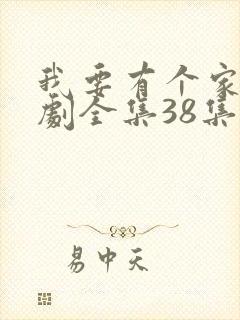 我要有个家电视剧全集38集免费观看封面