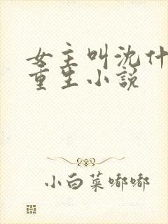 女主叫沈什么的重生小说