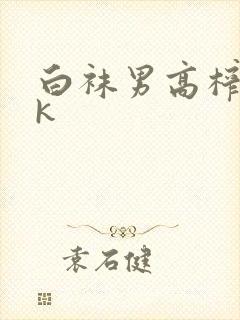 白袜男高榨精vk