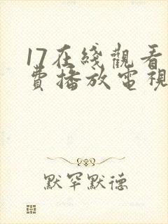 17在线观看免费播放电视剧