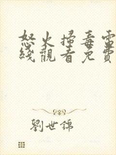 怒火扫毒电影在线观看免费高清国语