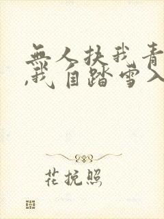 无人扶我青云志,我自踏雪入山巅封面