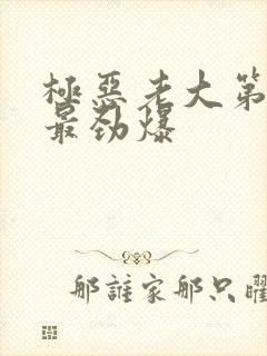 极恶老大第几集最劲爆