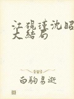 江砚瑾沈昭小说大结局