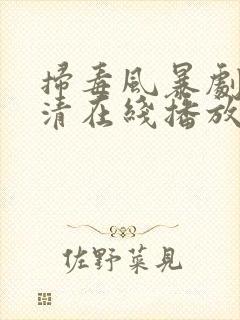 扫毒风暴剧版高清在线播放东升影视