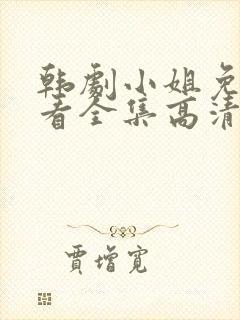 韩剧小姐免费观看全集高清封面