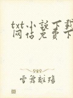 txt小说下载网站免费下载封面