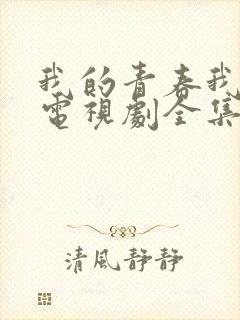 我的青春我做主电视剧全集免费观看封面