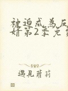 被迫成为反派赘婿第2季免费观看