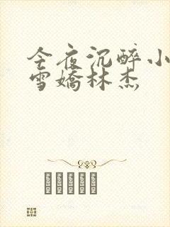 今夜沉醉小说段雪娇林杰