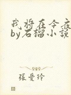 我将在今夜吻你by石榴小说在线阅读