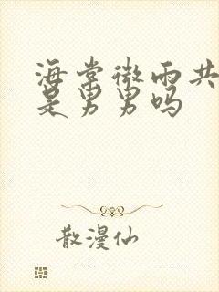 海棠微雨共归途是男男吗封面