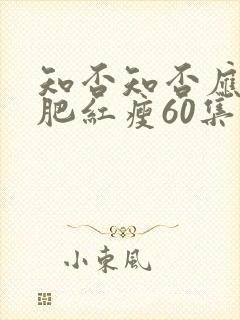 知否知否应是绿肥红瘦60集