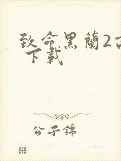 致命黑兰2高清 下载