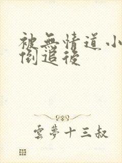 被无情道小师弟倒追后