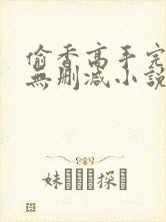 偷香高手完整版无删减小说封面