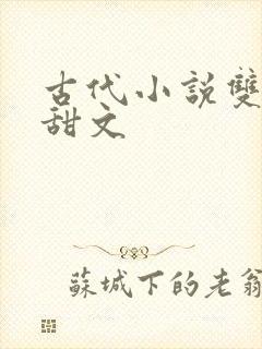 古代小说双男主甜文