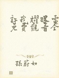 许我耀眼电视剧免费观看全集高清