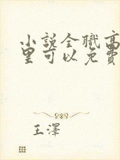 小说全职高手哪里可以免费阅读