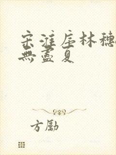 宋淮序林穗结局无尽夏