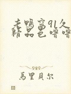 老鸭窝91久久精品色噜噜导演