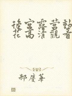 后宫露营动漫樱花高清观看