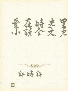 爱在时光里流转小说全文免费阅读