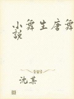 小舞生唐舞麟小说封面