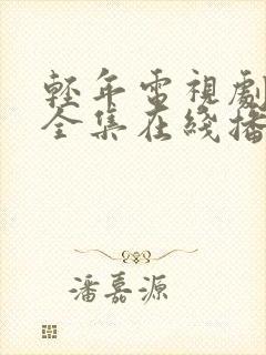 轻年电视剧免费全集在线播放