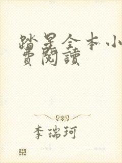 踏星全本小说免费阅读