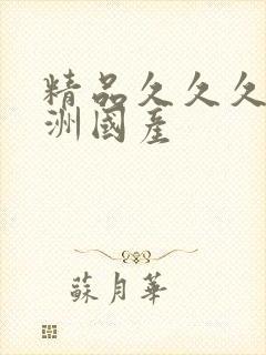 精品久久久久亚洲国产