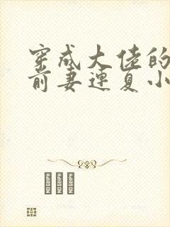 穿成大佬的病弱前妻连夏小说