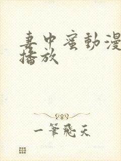 妻中蜜动漫在线播放