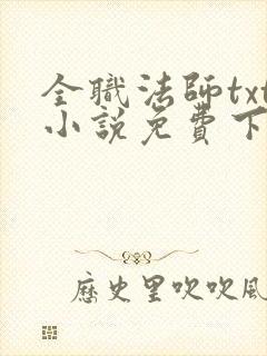 全职法师txt小说免费下载