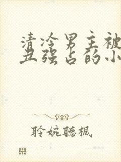 清冷男主被老肥丑强占的小说叫什么