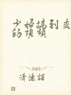 少妇搞到爽高潮的视频