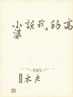 小说我的高冷老婆