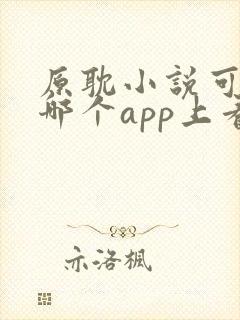 原耽小说可以在哪个app上看