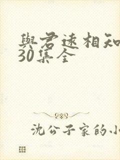 与君远相知短剧30集全